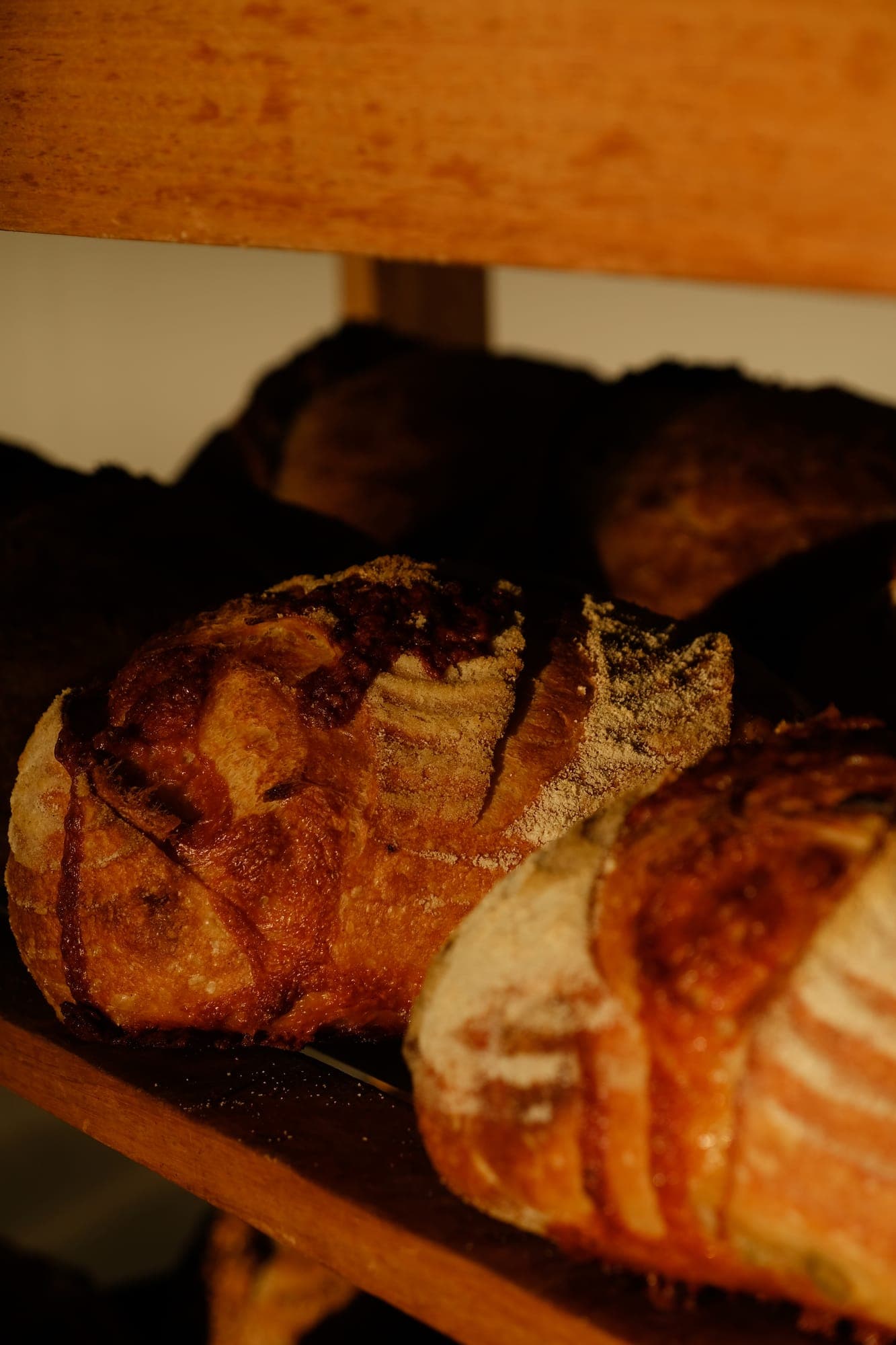 A dark, deeply scored sourdough boule, fresh from the oven