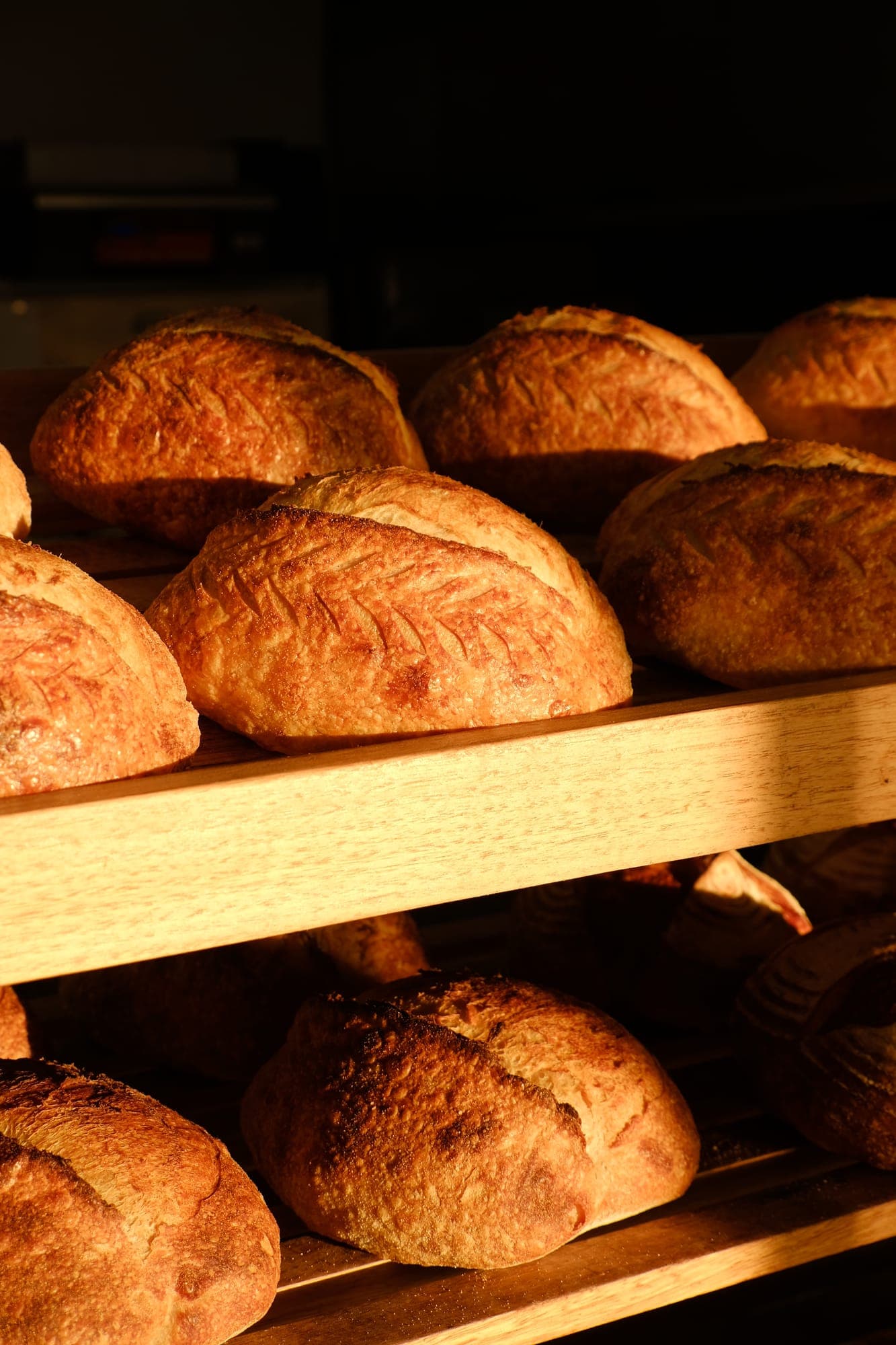 Close-up of crusty, scored sourdough loaves on the shelf