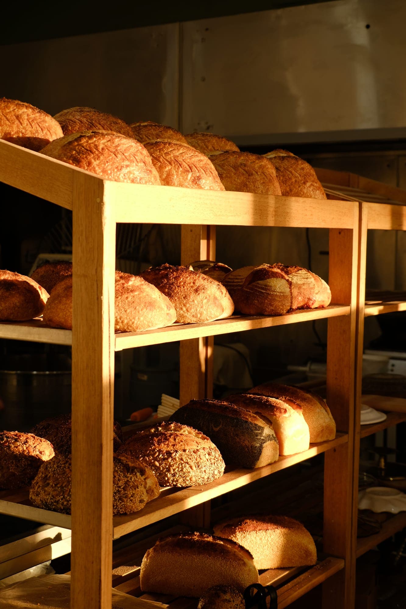 Freshly baked loaves on the cooling rack